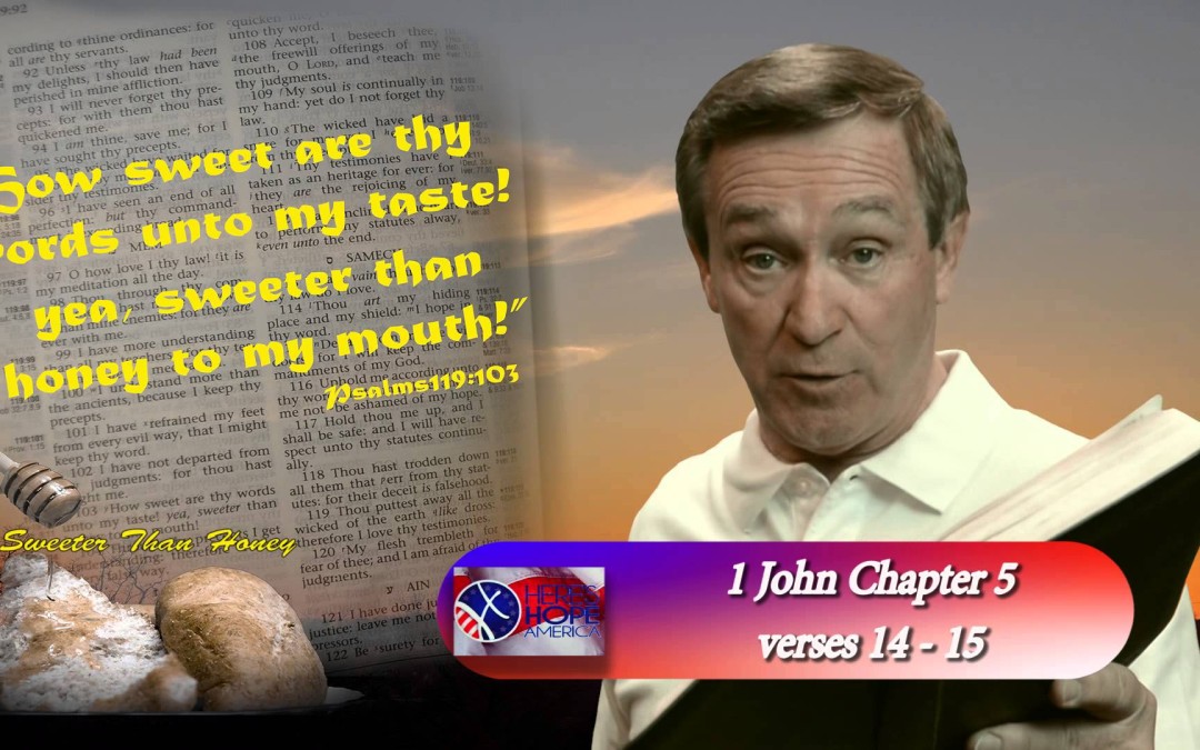1 John 5:14-15