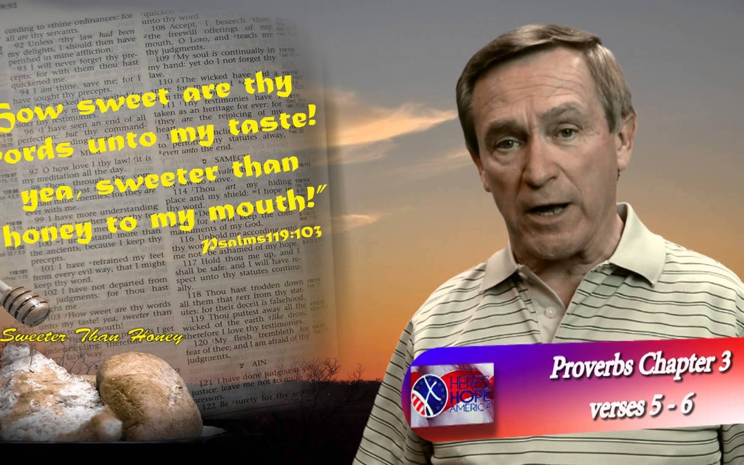 Proverbs 3 : 5-6